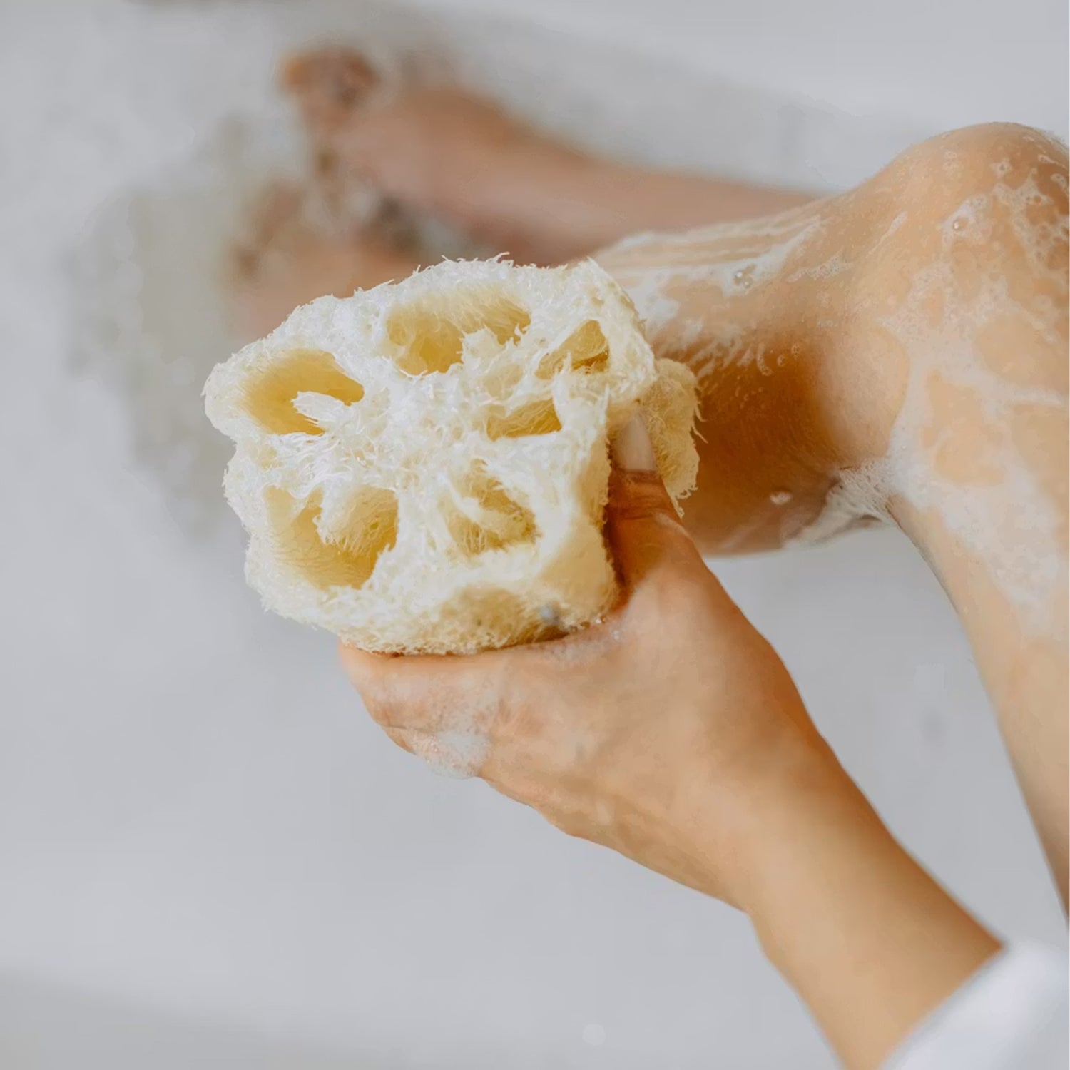 Natural Loofah
