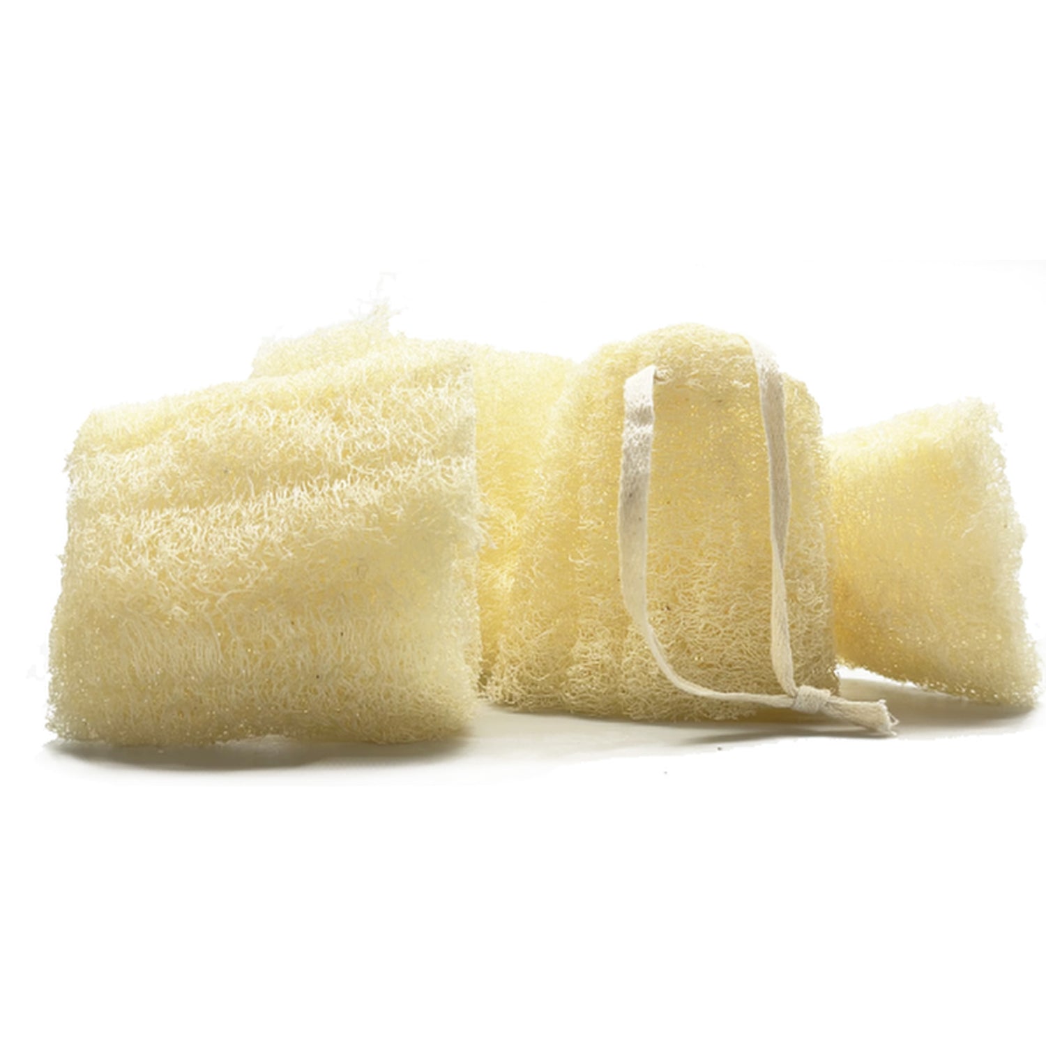 Natural Loofah